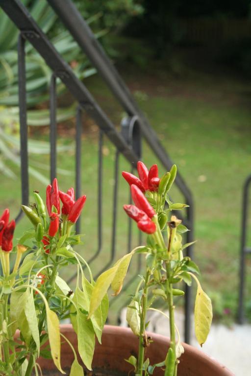 Villa Dei Fiori Luino Dış mekan fotoğraf